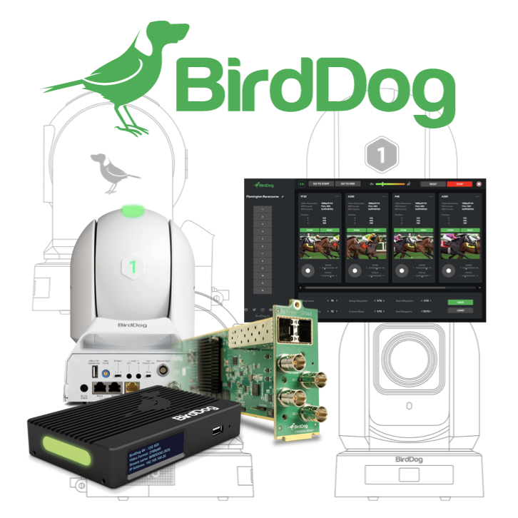 La diferencia Birddog